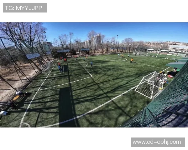 足球24号引领新潮流探索未来足球发展新方向与机遇